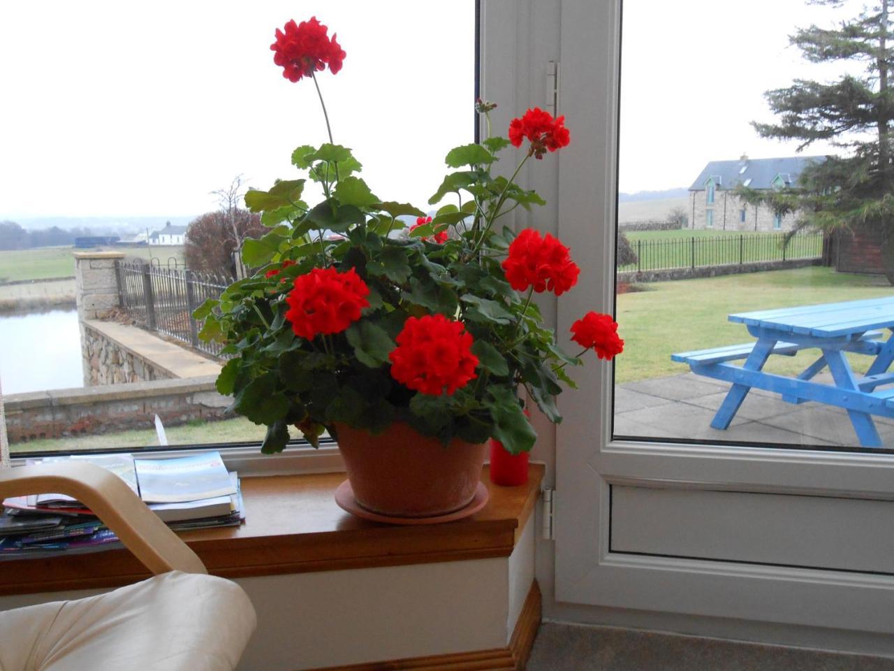 Tambowie Farm Bed & Breakfast Milngavie Extérieur photo